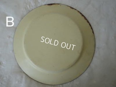 画像7: ホーロー製小鳥とローズ柄手描きプレート