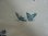 画像4: シェル型蝶々と小鳥柄プレート (4)