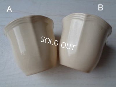 画像4: サルグミンヌ花リムカップ&ソーサー