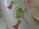 画像2: ホーローアールヌーボー花柄コーヒーポット
