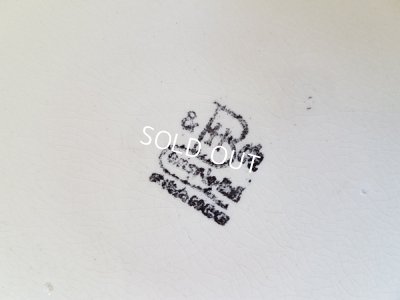 画像8: バルボディーヌパンジーとローズプレートセット