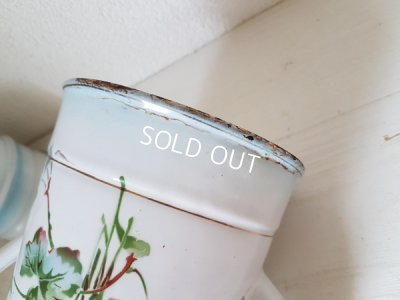 画像11: Japy勿忘草柄コーヒーポット