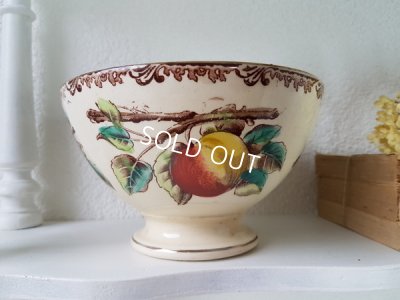 画像4:  Au Planteur de Caïffaりんご柄カフェオレボウル