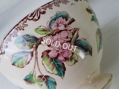 画像11:  Au Planteur de Caïffaりんご柄カフェオレボウル