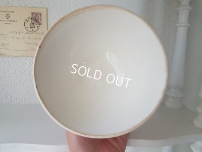 画像7: ディゴワンピンクトッド柄カフェオレボウル