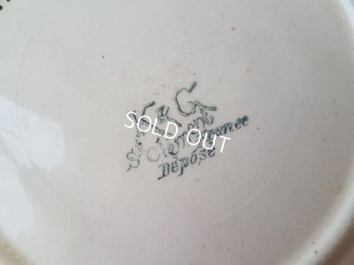 画像10: バルボディーヌホワイトアスパラプレート