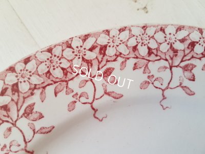 画像3: サルグミンヌ赤い花柄Florineプレートセット