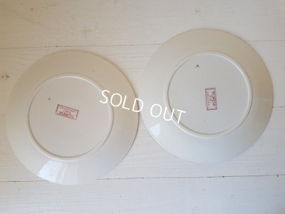 画像6: サルグミンヌ赤い花柄Florineプレートセット