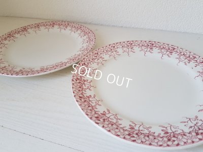 画像5: サルグミンヌ赤い花柄Florineプレートセット