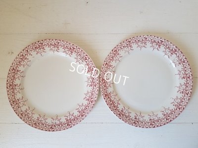 画像2: サルグミンヌ赤い花柄Florineプレートセット