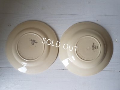 画像9: サルグミンヌ手描きプレートセット