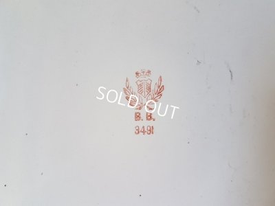 画像4: BB白ローズガーランド柄レードルラック