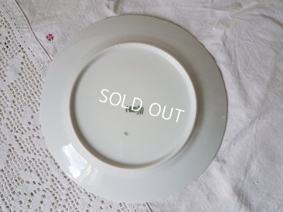 画像11: Ｂavaria Ｓchmannローズ花かご柄プレート