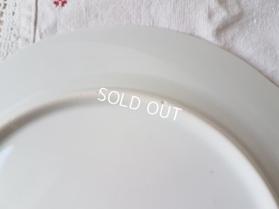 画像12: Ｂavaria Ｓchmannローズ花かご柄プレート