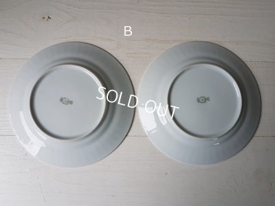 画像11: Bavaria Schumannローズ花かご柄プレート