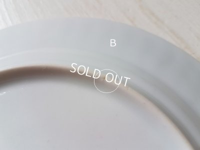 画像13: Bavaria Schumannローズ花かご柄プレート