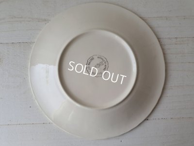 画像5: Salinsバルボディーヌチェリー柄プレート