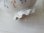 画像11: フリルフット花柄カフェオレボウル