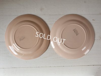 画像5: ディゴワンピンクプレート