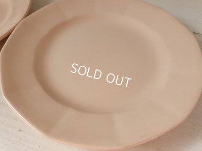 画像2: ディゴワンピンクプレート