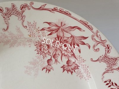 画像3: Choisy le Roi Florealコンポート