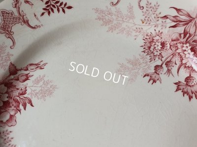 画像7: Choisy le Roi Florealコンポート