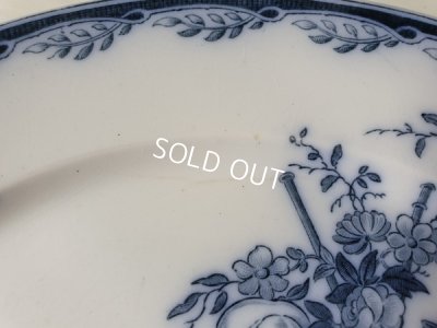 画像13: サルグミンヌWatteauプレート2P