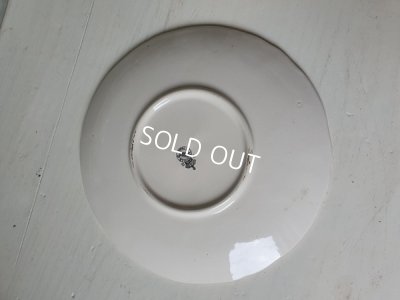 画像12: リュネヴィル薔薇柄カップ&ソーサー