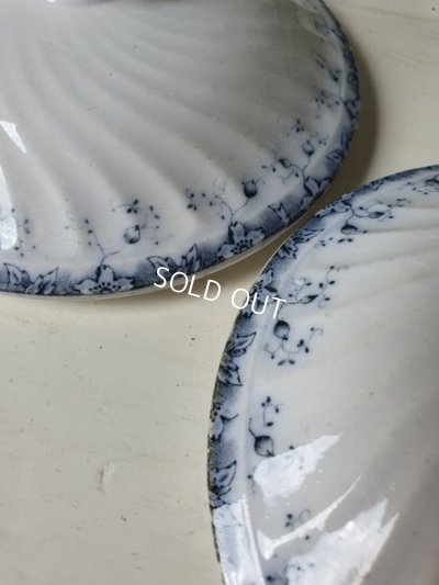 画像9: ALPHANDサルグミンヌキャニスター1P