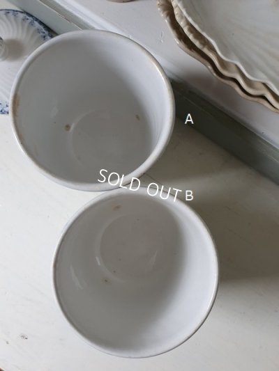 画像10: ALPHANDサルグミンヌキャニスター1P