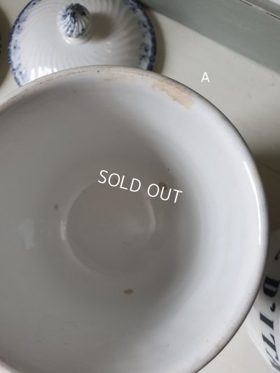 画像11: ALPHANDサルグミンヌキャニスター1P