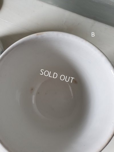 画像12: ALPHANDサルグミンヌキャニスター1P