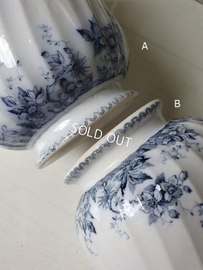 画像19: ALPHANDサルグミンヌキャニスター1P