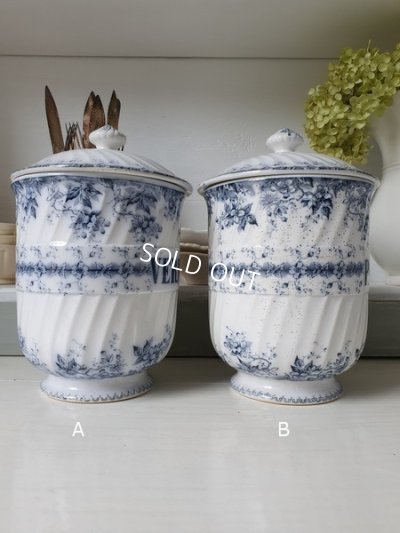 画像3: ALPHANDサルグミンヌキャニスター1P