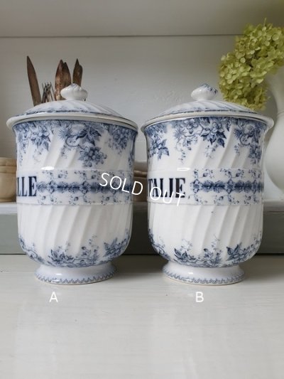 画像5: ALPHANDサルグミンヌキャニスター1P