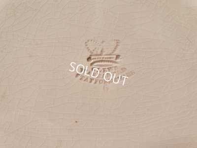 画像20: Staffordshireソーサー付ボウル