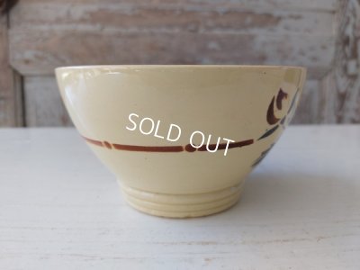 画像4: ディゴワンサルグミンヌローズ柄カフェオレボウル