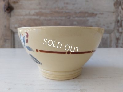 画像6: ディゴワンサルグミンヌローズ柄カフェオレボウル