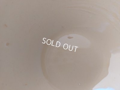 画像8: ディゴワンサルグミンヌローズ柄カフェオレボウル