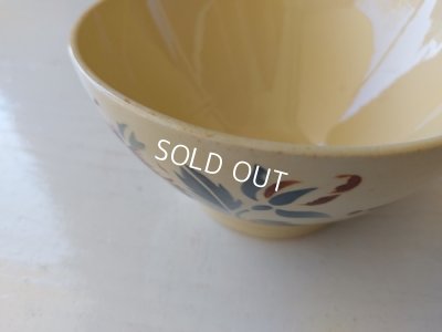 画像13: ディゴワンサルグミンヌローズ柄カフェオレボウル