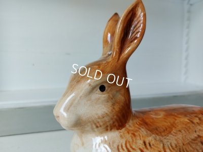 画像6: Michel Caugantうさぎテリーヌポット