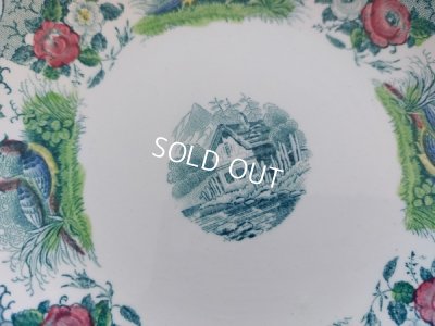 画像13: アンティークサルグミンヌカップ＆ソーサートリオ