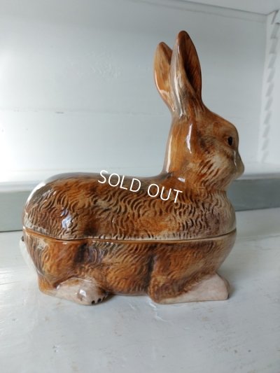 画像2: Michel Caugantうさぎテリーヌポット
