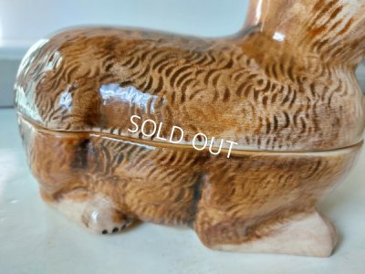 画像8: Michel Caugantうさぎテリーヌポット