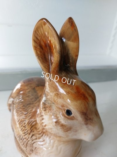 画像7: Michel Caugantうさぎテリーヌポット