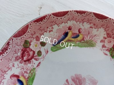 画像19: アンティークサルグミンヌカップ＆ソーサートリオ