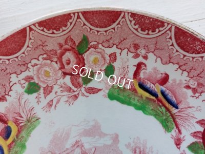 画像17: アンティークサルグミンヌカップ＆ソーサートリオ