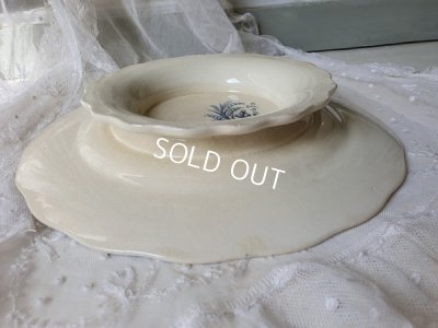 画像9: テールドフェールうさぎと小鳥柄コンポート