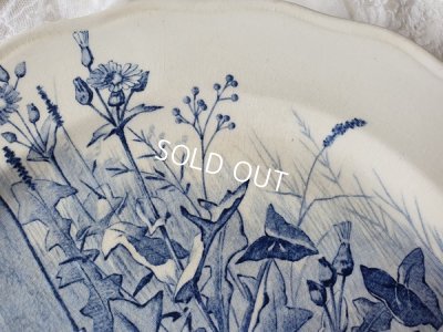 画像5: テールドフェールうさぎと小鳥柄コンポート