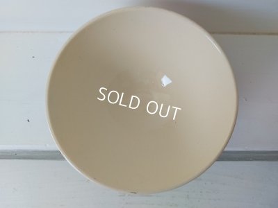 画像9: Digoin Joianeローズ柄カフェオレボウル